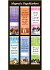 MAGNETIC BOOKMARKS SET OF 6