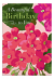BIRTHDAY BOX: CLOSE UP FLORAL 12