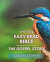 THE NEW EASY READ BIBLE: THE GOSPEL STORY