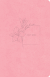 CSB COMPACT VALUE BIBLE