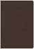 CSB SUPER GIANT PRINT REFERENCE BIBLE WITH THUMB INDEX