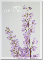 WITH SYMPATHY CARD  