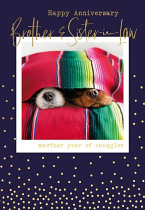 BROTHER AND SISTER IN LAW ANNIVERSARY CARD
