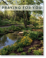 PRAYING FOR YOU PETITE CARD