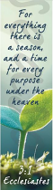 ECCLESIASTES 3:1 BOOKMARK