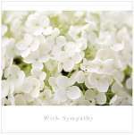 SYMPATHY CARD WHITE HYRDRANGEA