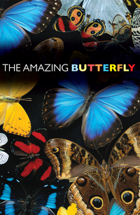 THE AMAZING BUTTERFLY TRACT PACK OF 25