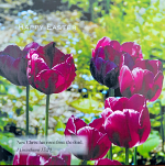 HAPPY EASTER GREETINGS CARD