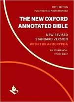 NRSV ANNOTATED STUDY BIBLE WITH APOCRYPHA