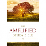 AMPLIFIED STUDY BIBLE HB