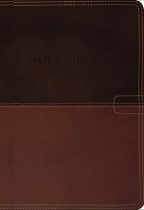 NKJV KNOW THE WORD STUDY BIBLE