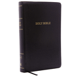 KJV PERSONAL SIZE GIANT PRINT REFERENCE BIBLE