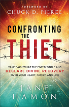 CONFRONTING THE THIEF