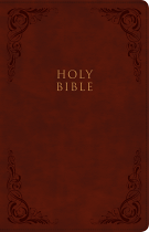 CSB LARGE PRINT REFERENCE BIBLE