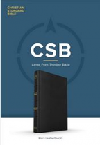 CSB LARGE PRINT THINLINE BIBLE