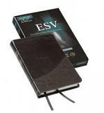 ESV PITT MINION REFERENCE BIBLE