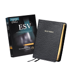 ESV CLARION REFERENCE BIBLE