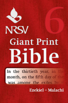 NRSV GIANT PRINT BIBLE VOLUME SIX