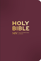 NIV POCKET BIBLE WITH ZIP