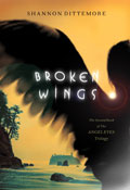 BROKEN WINGS