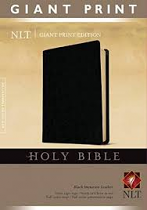 NLT GIANT PRINT BIBLE
