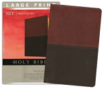 NLT LARGE PRINT PERSONAL SIZE BIBLE INDEXED