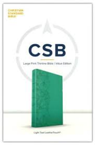 CSB LARGE PRINT THINLINE BIBLE TEAL