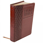 KJV COMPACT BIBLE