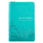 KJV DELUXE GIFT BIBLE