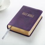 KJV LARGE PRINT COMPACT