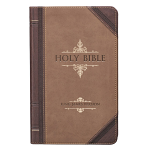 KJV GIANT PRINT BIBLE TAN BROWN 