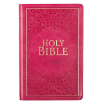 KJV DELUXE GIFT BIBLE 