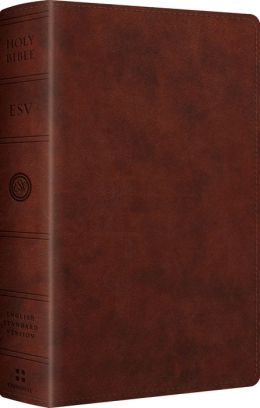 ESV LARGE PRINT PERSONAL SIZE BIBLE