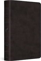 ESV LARGE PRINT BIBLE BLACK IMITAITON