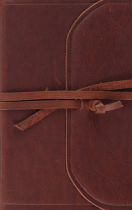 ESV THINLINE BIBLE