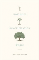 HOW DOES SANCTIFICATION WORK