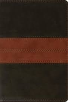 ESV PERSONAL REFERENCE BIBLE BROWN TAN