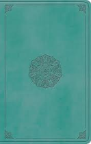 ESV LARGE PRINT VALUE THINLINE BIBLE TURQUOISE