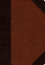 ESV LARGE PRINT WIDE MARGIN BIBLE