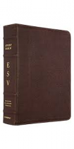 ESV STUDY BIBLE