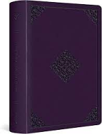 ESV JOURNALLING BIBLE LARGE PRINT