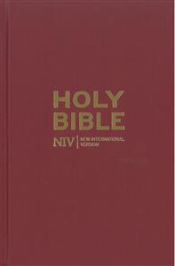 NIV POPULAR BIBLE BURGUNDY PACK OF 20