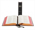 NIV LECTERN BIBLE