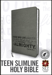 NLT TEEN SLIMLINE BIBLE THUMB INDEX