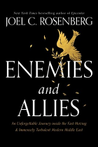 ENEMIES AND ALLIES HB