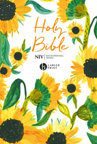 NIV LARGER PRINT BIBLE