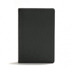 CSB GIANT PRINT REFERENCE BIBLE