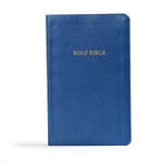 KJV GIFT & AWARD BIBLE