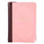 KJV COMPACT BIBLE PINK BROWN ZIP
