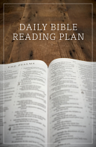 DAILY BIBLE READING PLAN PACK OF 25